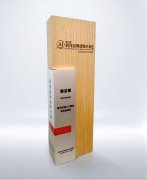 大伟提出“让每个孩子都具有一位‘AI超等教员’ 